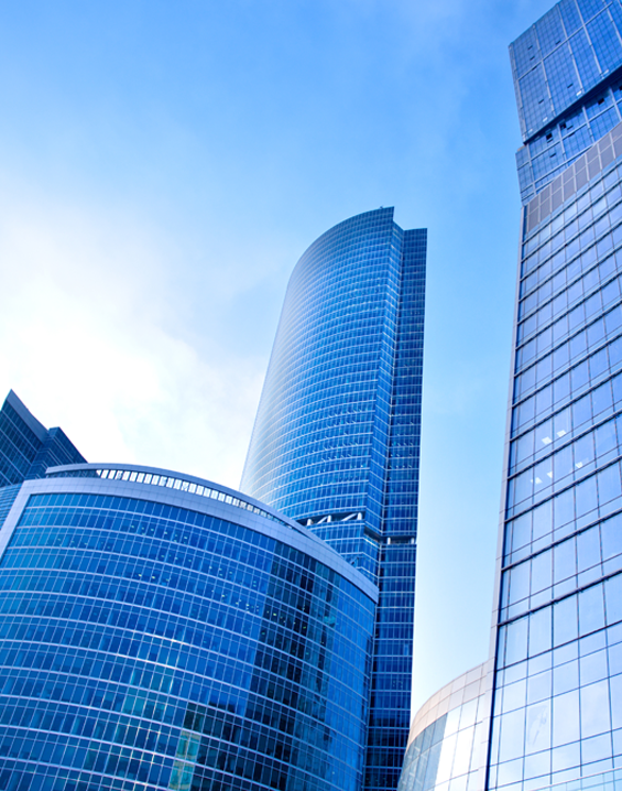 BIOLINK SUPPLY CHAIN (BEIJING) LTD